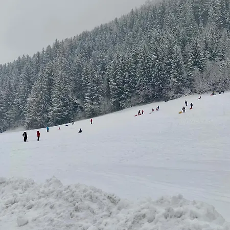 Апартаменты Cima De' Piazzi 1 Sant'Antonio (Sondrio)
